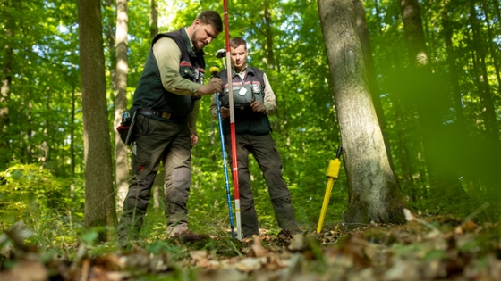 2 Personen (Inventurtrupp) nehmen Messungen im Wald vor