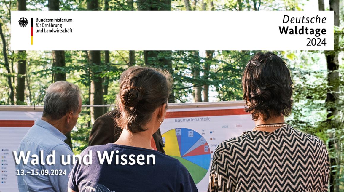 In einem Wald stehen mehrere Personen vor einem Aufsteller, der ein Kreisdiagramm zeigt. Text: Deutsche Waldtage 2024. Wald und Wissen, 13. - 15.09.2024. Oben Links das Logo des BMEL.