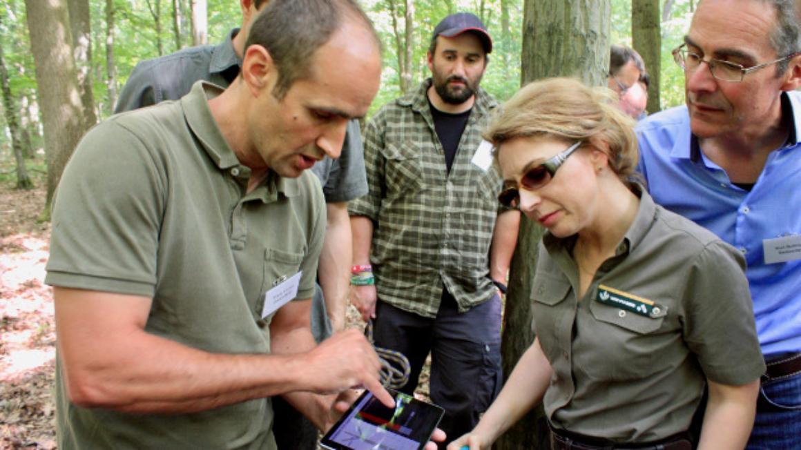 Förster stehen im Wald und schauen auf ein Tablet