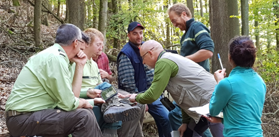 Übung im Wald