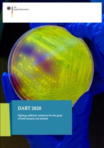 Cover of the brochure "DART 2020"