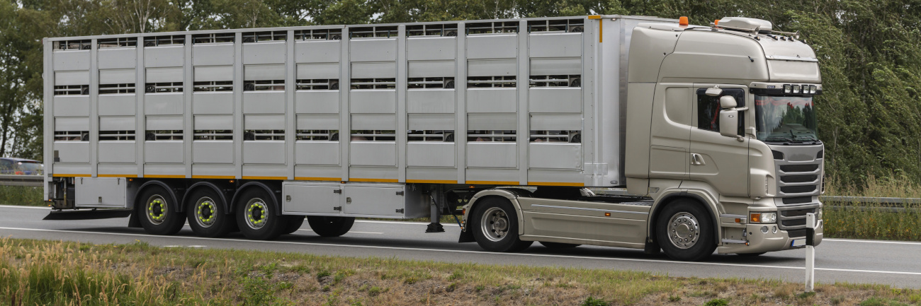 An animal transporter on the street.