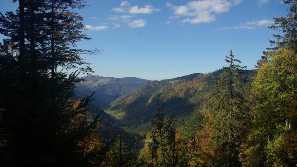 View into a forested valley