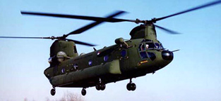 Chinook in flight