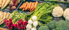 Auswahl an Biogemüse auf dem Wochenmarkt – Petersilienwurzel, Rote Bete, Möhren, Blumenkohl, Brokkoli, Rettich und Radieschen. 