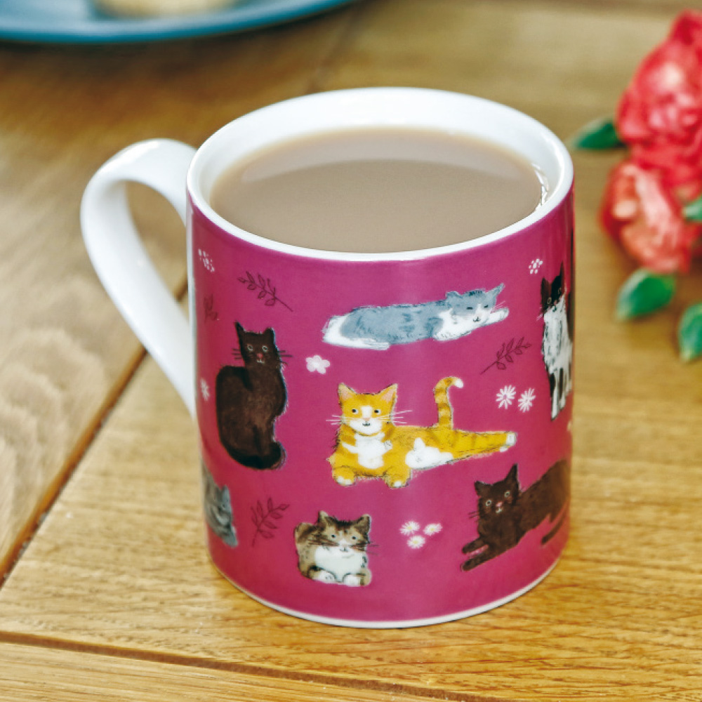 Cats and floral mug offer