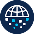 Domain intelligence icon