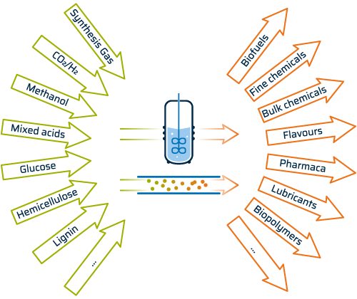 Input-Output scheme of biochemical products