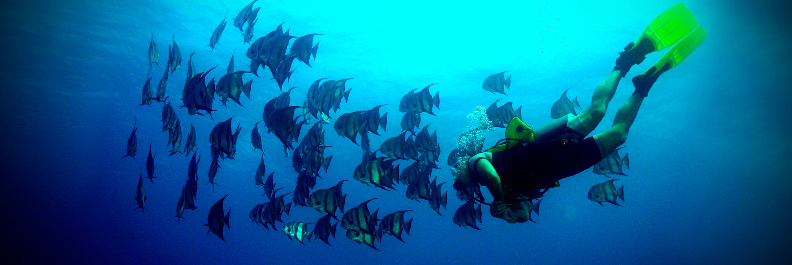 Diving Cayo Santa María.