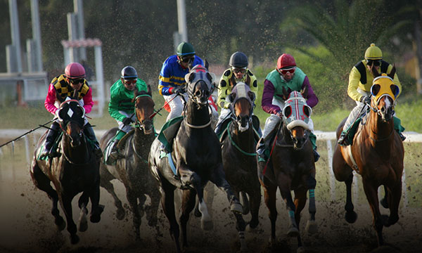 Horse Racing