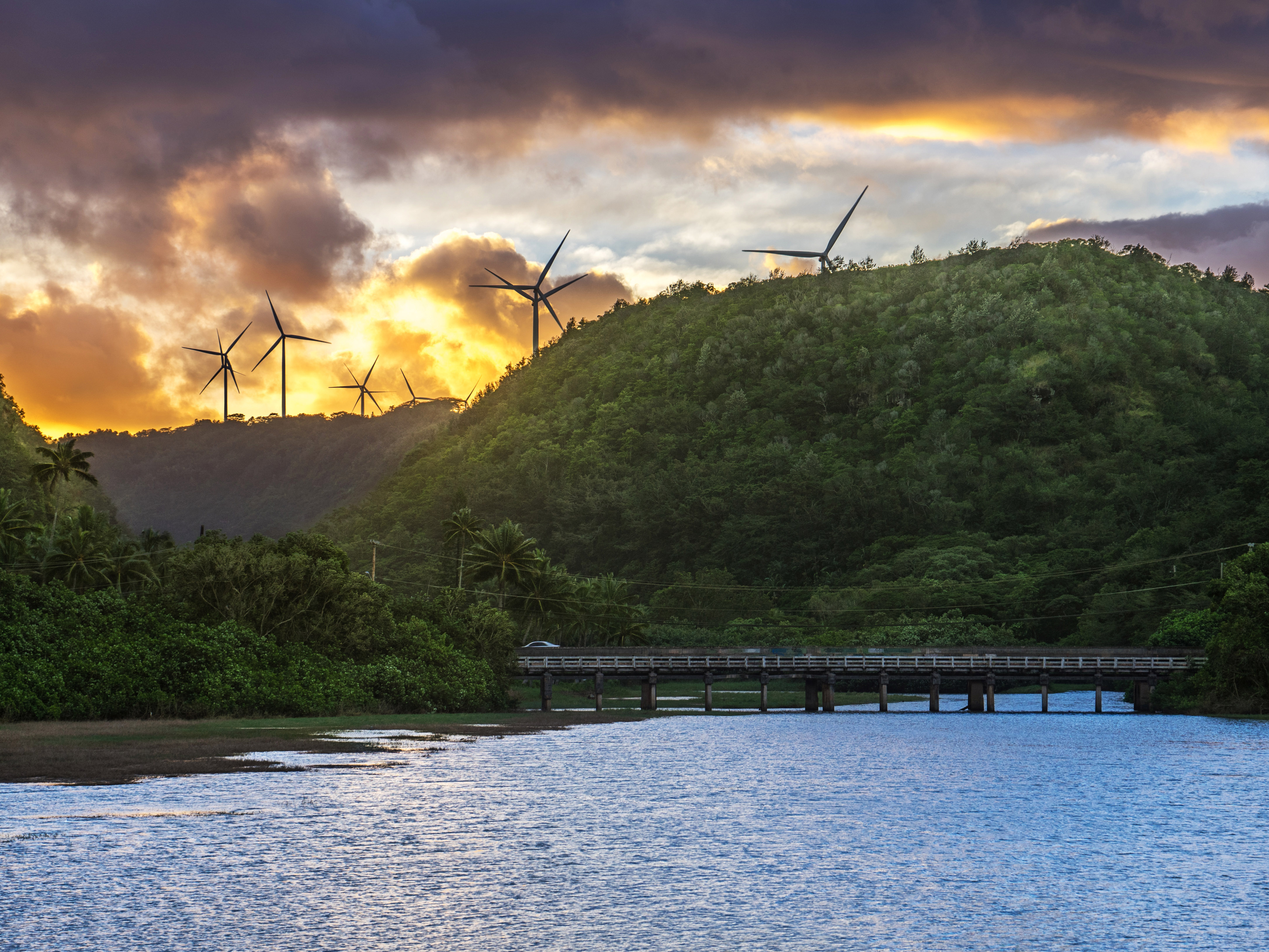 Tropischer Strand und Wald mit Windrädern