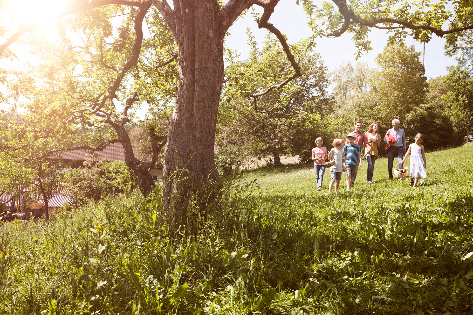 Familie mit drei Generationen auf Wiese