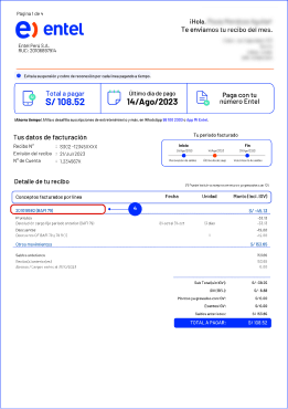 recibo Internet hogar - Entel Perú