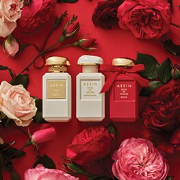 aerin rose fragrances