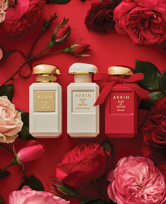 aerin rose fragrances