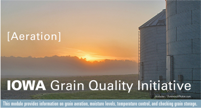 Grain Storage Module