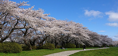 岩手県北上市