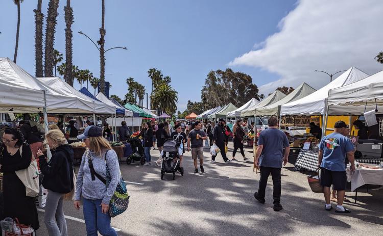 Shoppers browse the Long Beach Farmers Market. PHOTOS BY SCOTT ROGERS / FOUNTAIN VALLEY LIVING