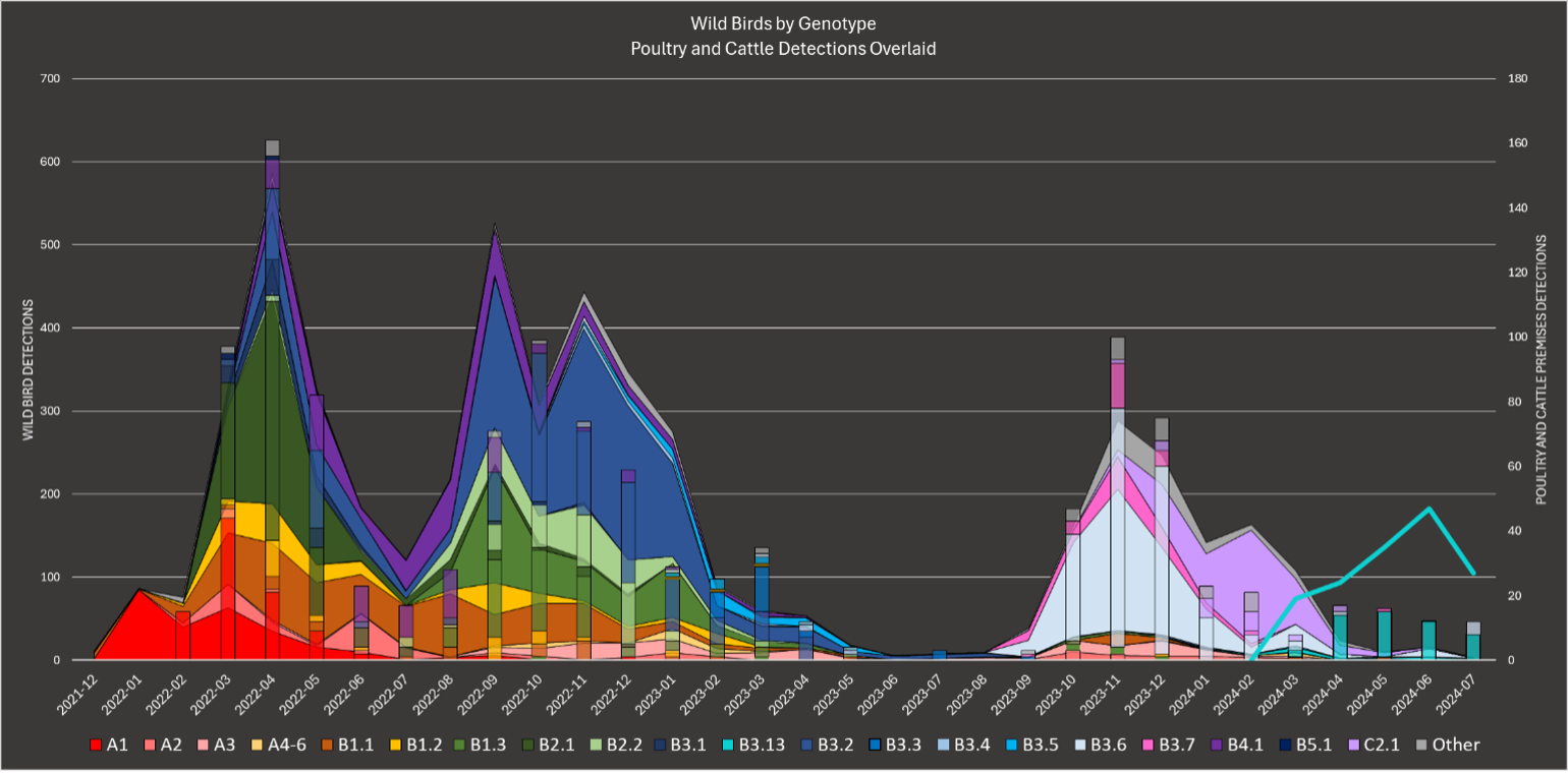 Genotype distribution of wild bird detections from December 2021 to 29 July 2024 in wild birds with poultry, and B3.13 detections in dairy, overlaid.