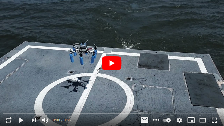 Preliminary results for autonomous landing of a UAV on a moving ship