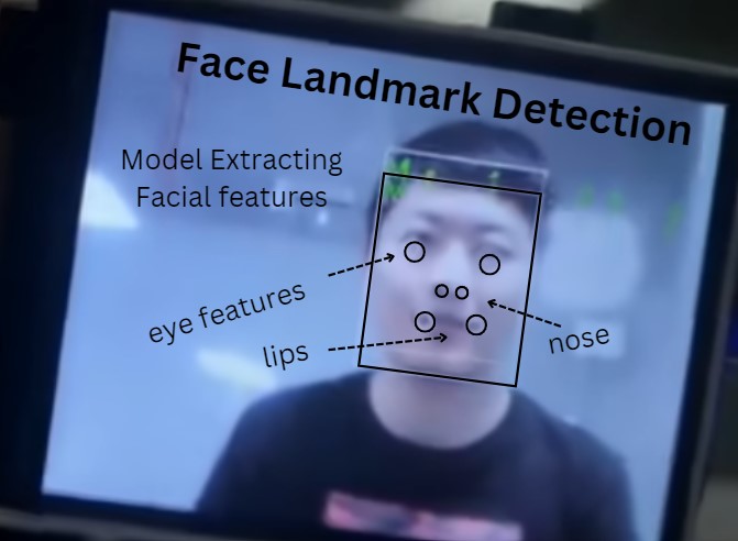 Facial Landmark Detection