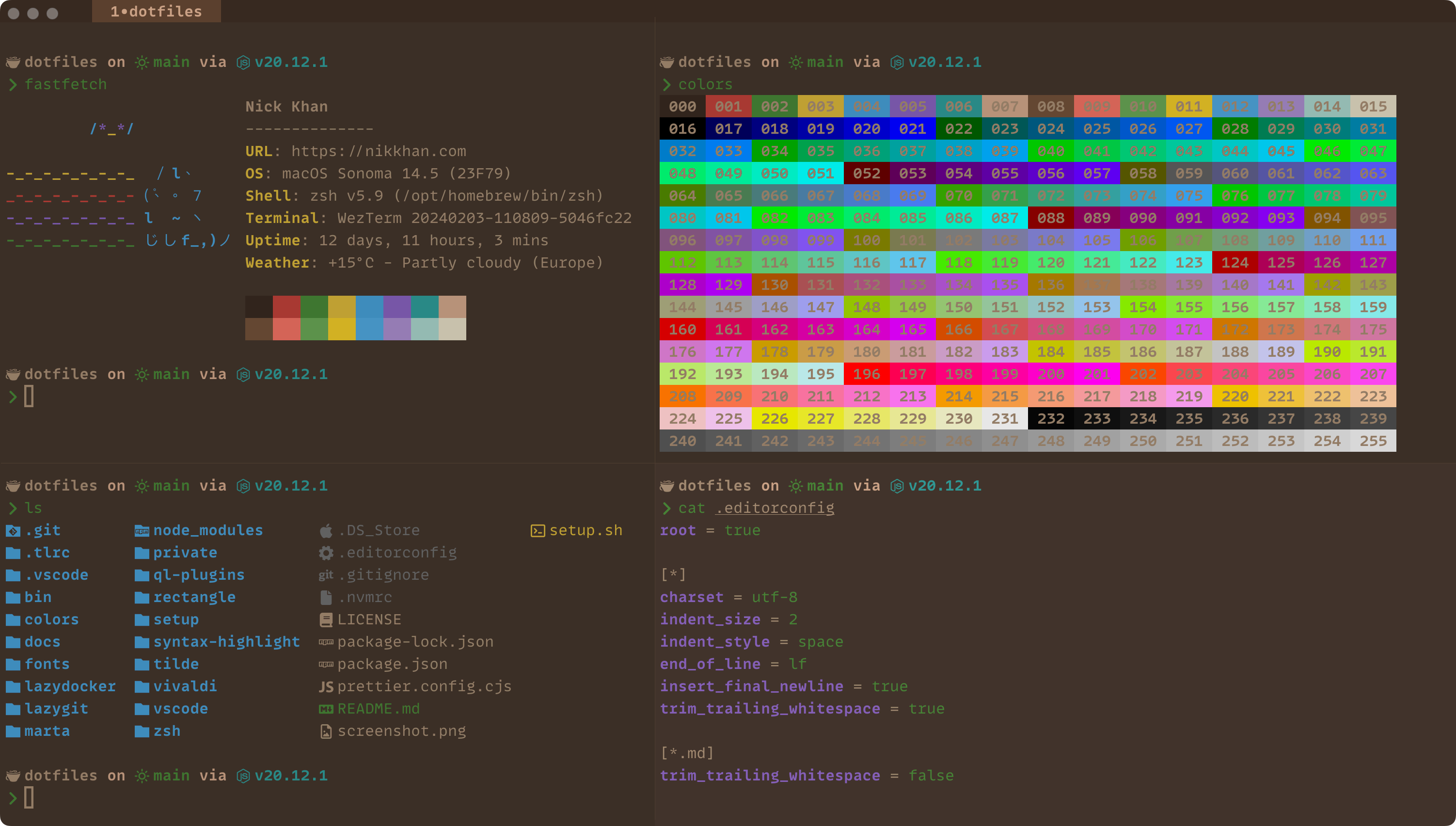 nicksp terminal