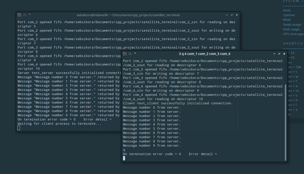 Parent and Child process terminal emulator instances