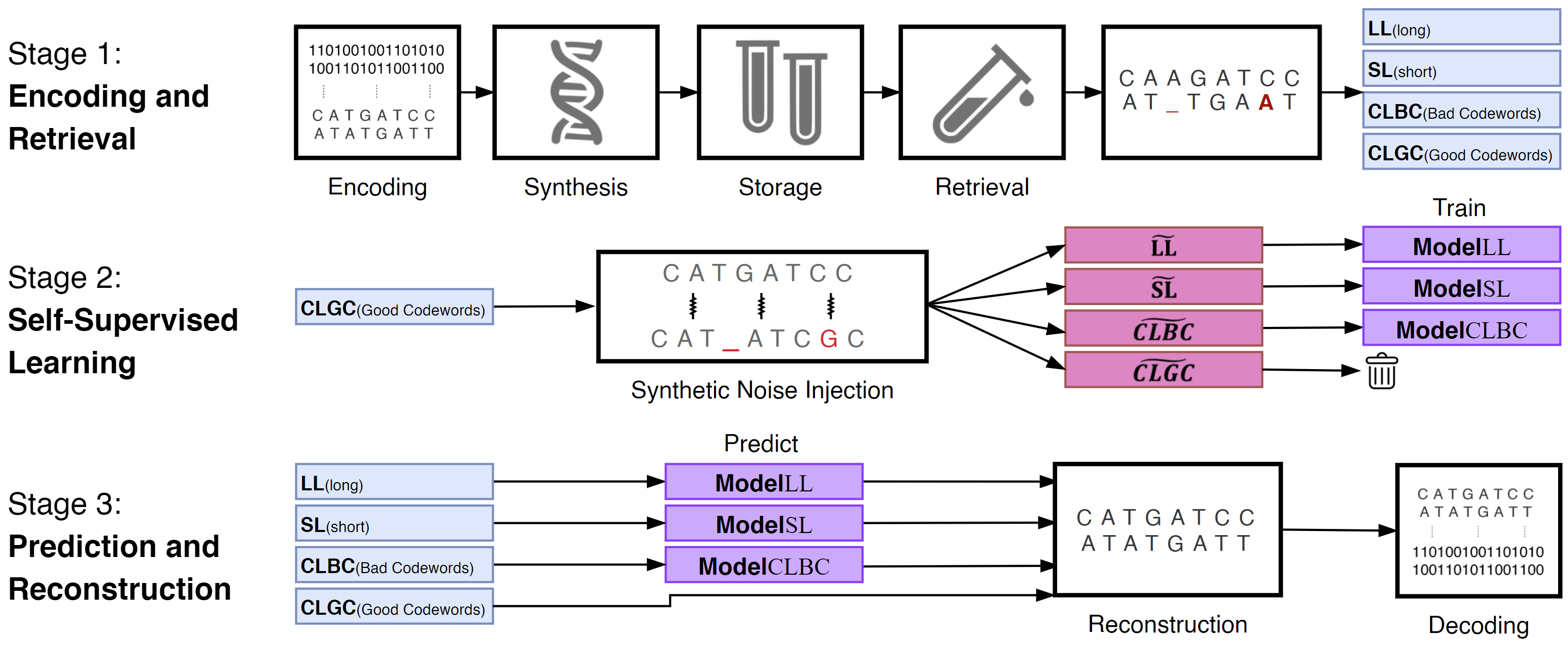 Model Training and Prediction Flowchart