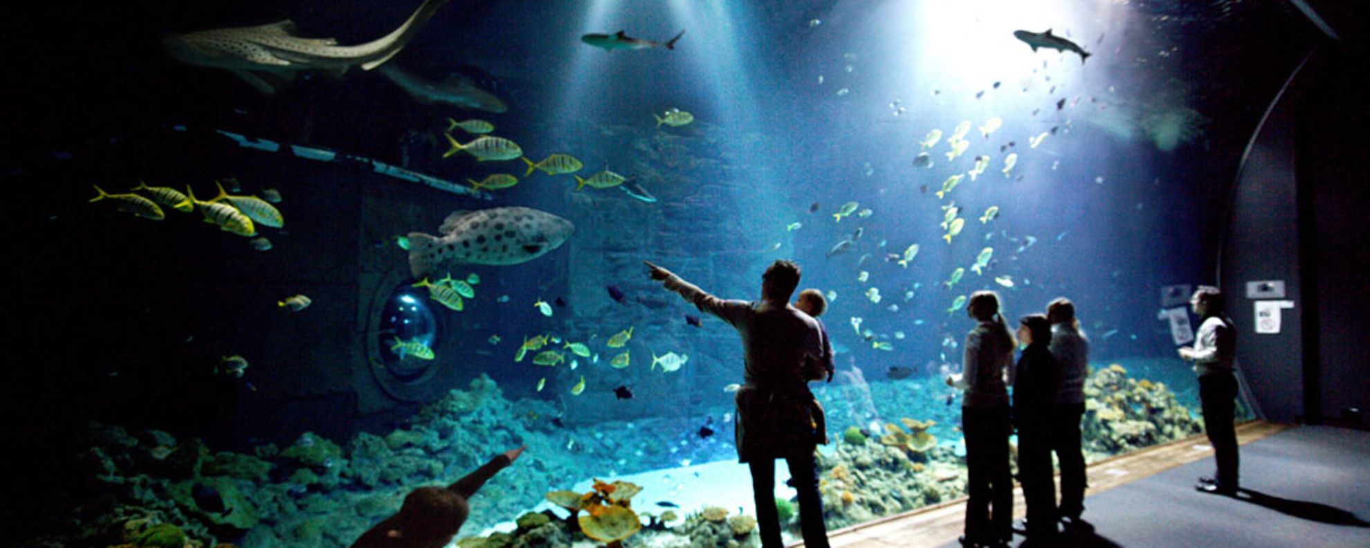 Tropen-Aquarium Hagenbeck