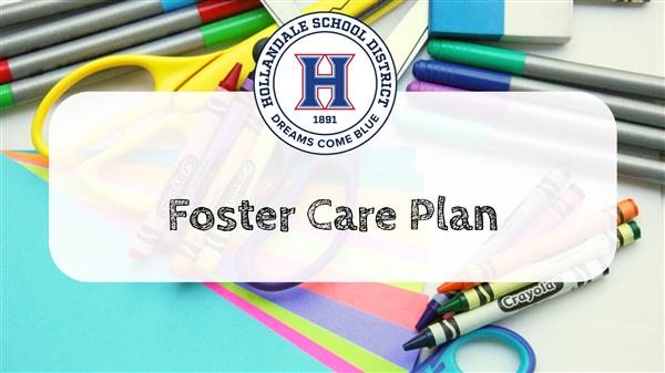 Foster Care Plan