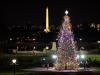 Capitol Christmas Tree Lit