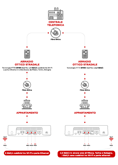 infografica fibra