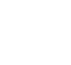 Interpol Logo