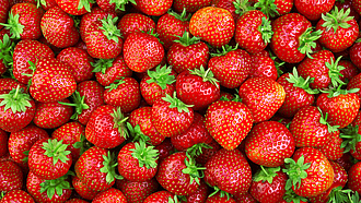 Erdbeeren