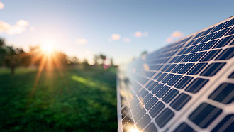 Rechts im Bild eine Solarpanelle einer Freiflächenanlage, links verschwommen ein Pflanzenbestand und untergehende Sonne