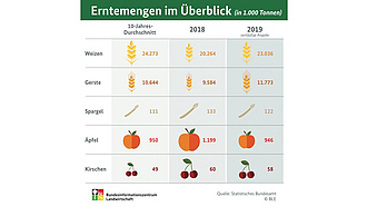 BZL-Infografik: Erntemengen im Überblick