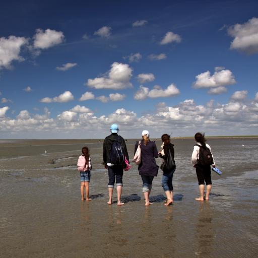 Familie bei der Wattwanderung