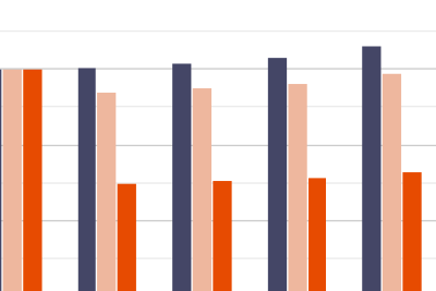 Screenshot Energiespar-Contracting: Balkendiagramm in grau, lachsfarben und orange.