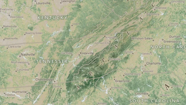 The forests of the Appalachian Mountains are a moderately dense source of carbon.