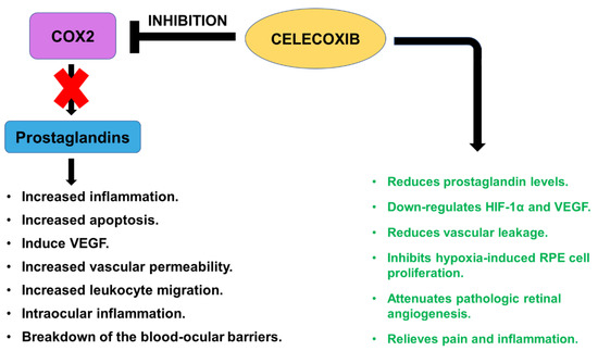 Cells 10 02483 g005 550