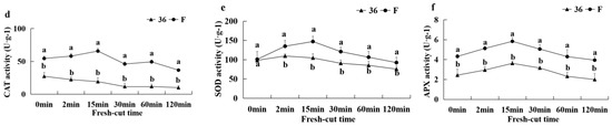 Foods 11 01174 g010b 550