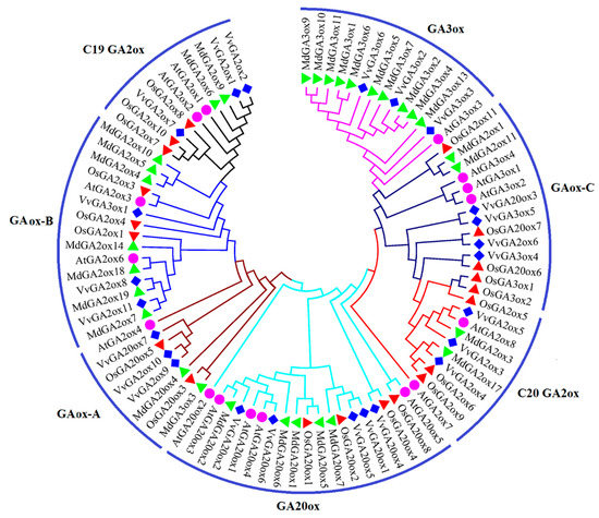 Genes 10 00680 g002 550