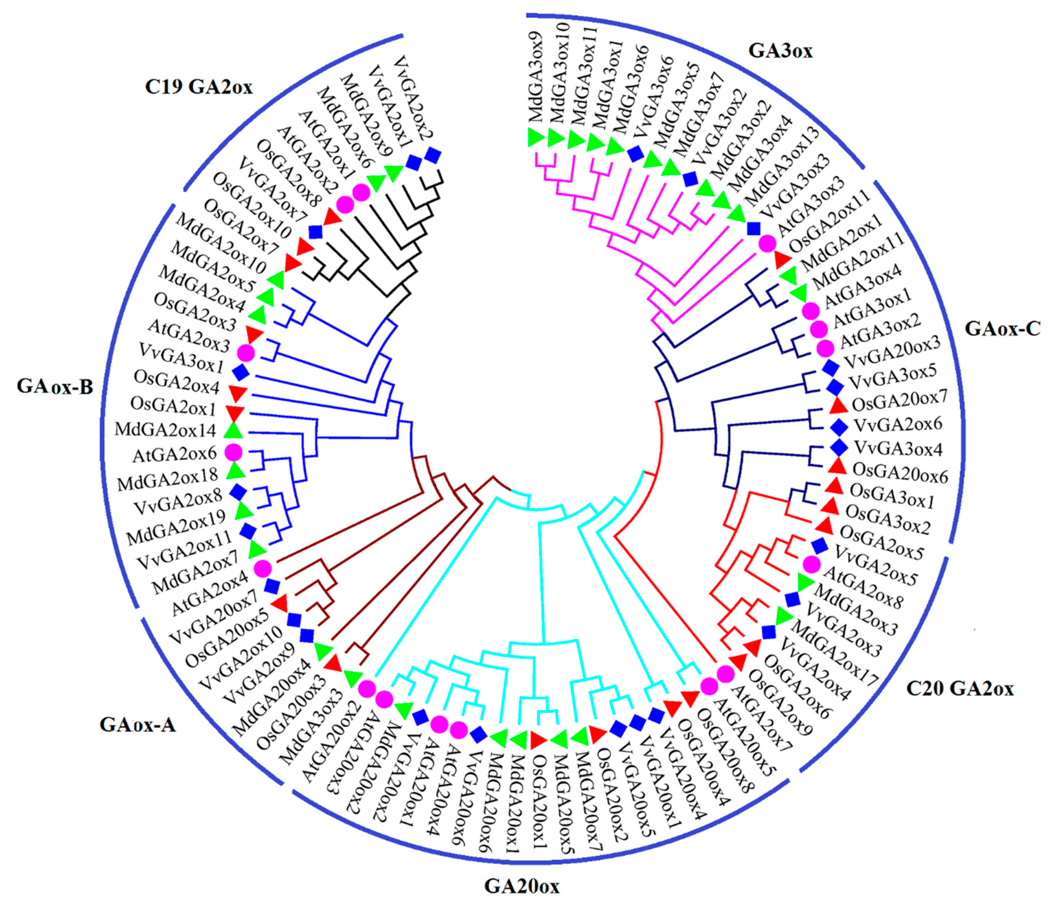 Genes 10 00680 g002