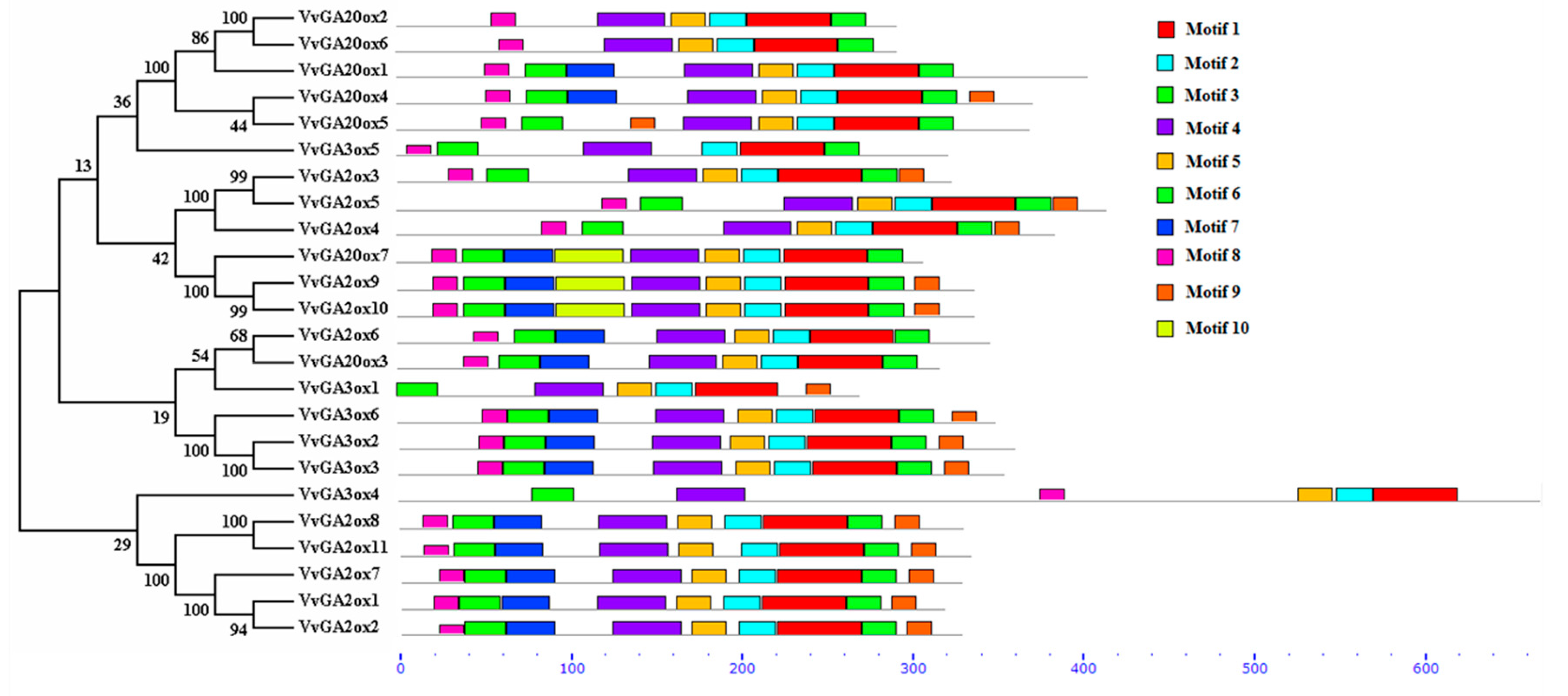 Genes 10 00680 g003