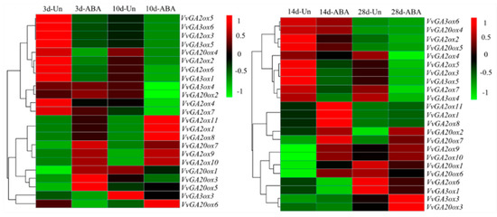 Genes 10 00680 g004 550