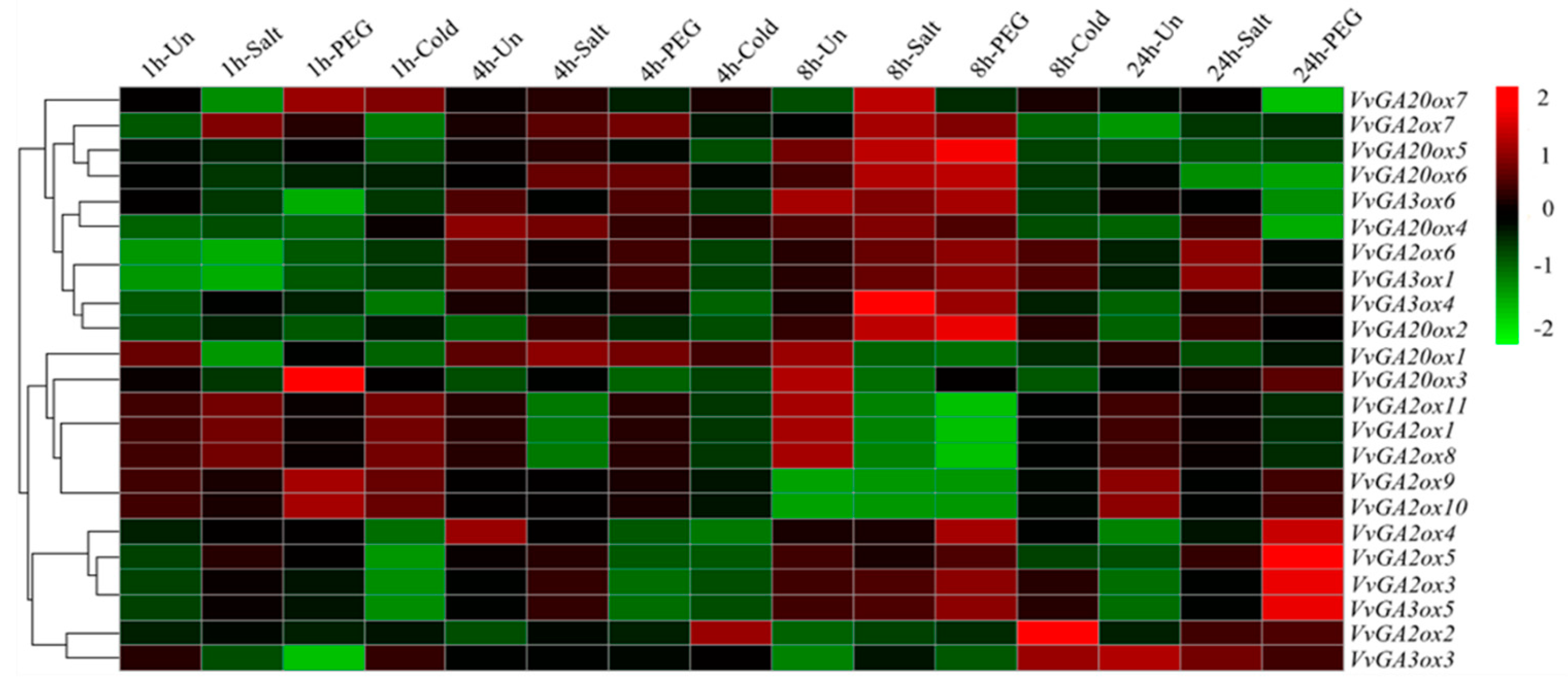 Genes 10 00680 g005