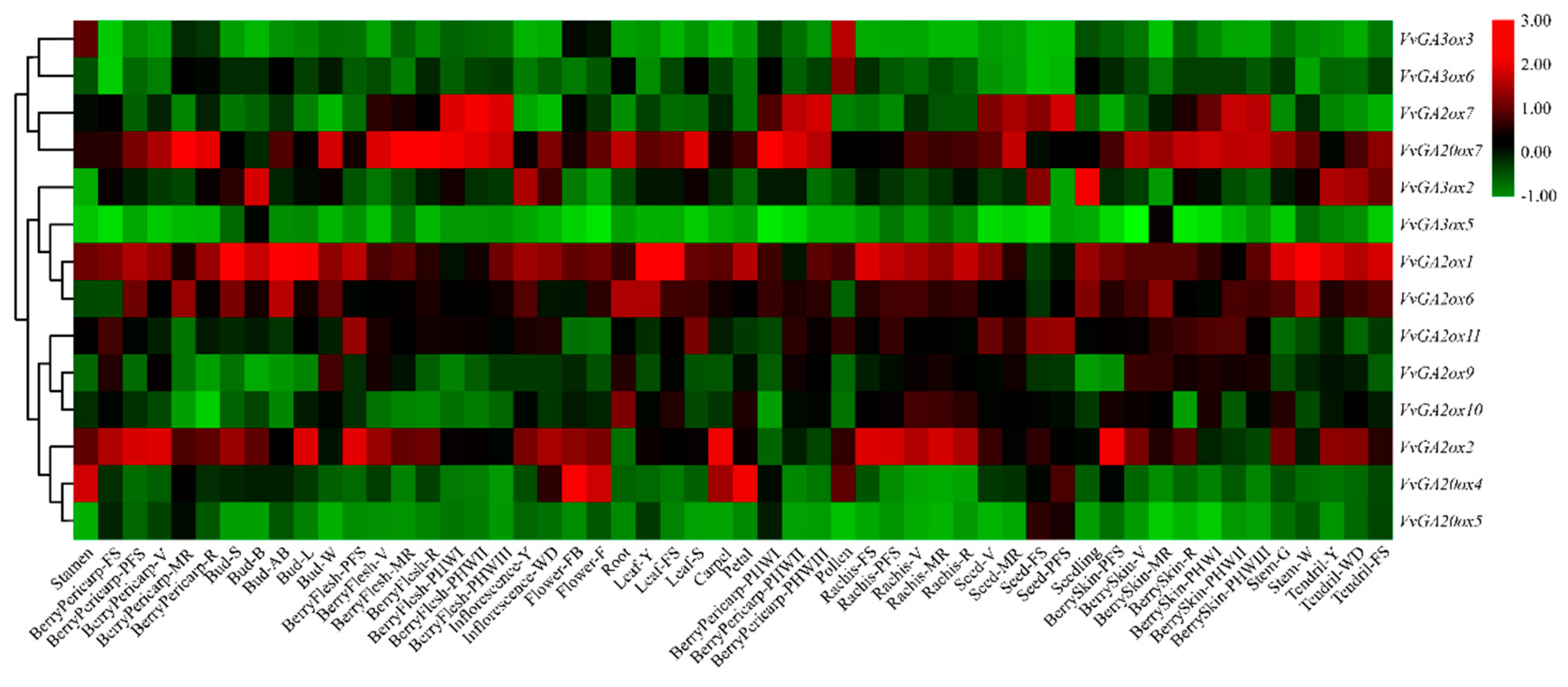 Genes 10 00680 g006