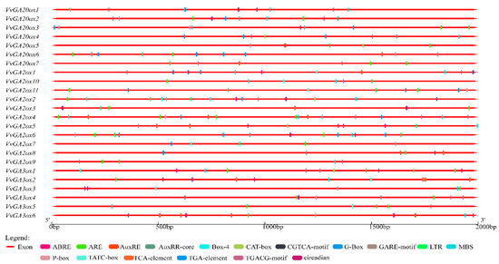 Genes 10 00680 g007 550