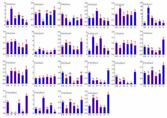 Genes 10 00680 g008 550