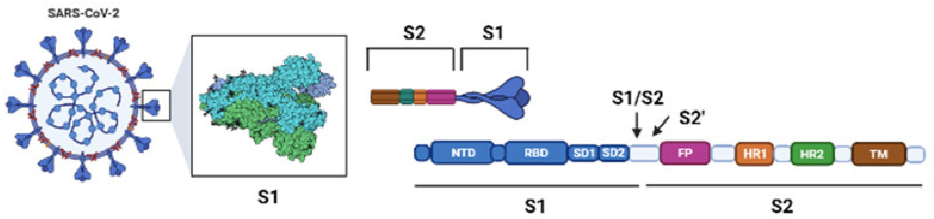 Ijms 23 01987 g002